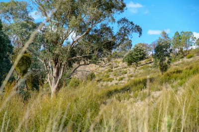 Mt Lofty X-T2
 Hero