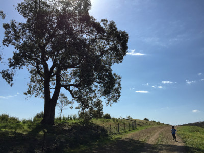 Mt Lofty, Warrandyte State Park
 Hero
