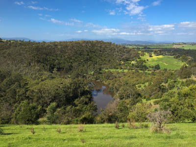 Mt Lofty, Warrandyte State Park
 Hero