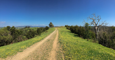 Mt Lofty, Warrandyte State Park
 Hero