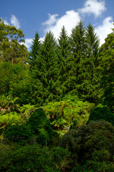 National Rhododendron Garden 2023
 Hero