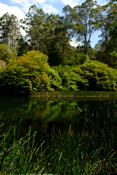 National Rhododendron Garden 2023
 Hero