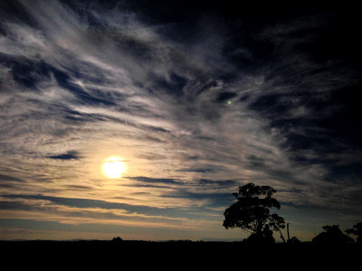 Out and about in Melbourne
 Hero