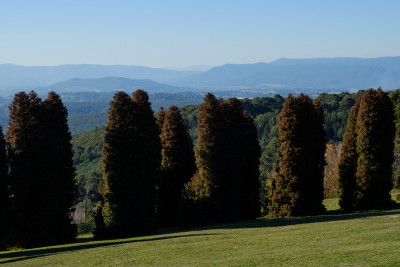 R J Hamer Arboretum 2019 R J Hamer Arboretum 2019