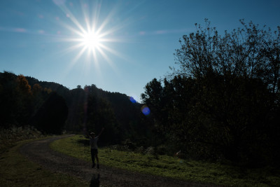 R J Hamer Arboretum 2019
 Hero