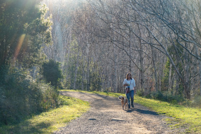 R J Hamer Arboretum 2019
 Hero