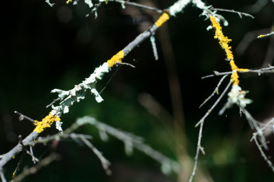 RAAF Museum Point Cook and Ruffey Lake Park
 Hero