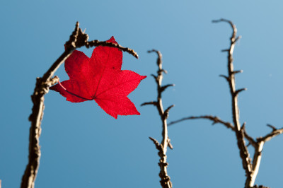 Silvan Reservoir
 Hero