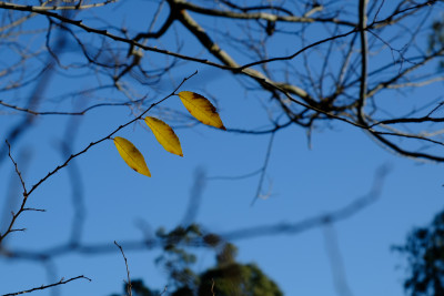Sugarloaf Reservoir
 Hero