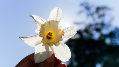 Sunset in the Dandenongs
 Hero