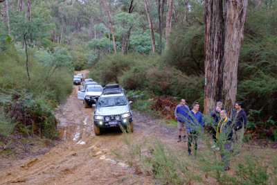 Toolangi Four-wheel Driving
 Hero