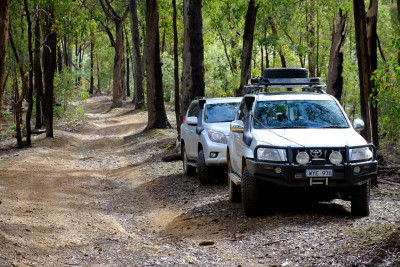 Toolangi Four-wheel Driving Toolangi Four-wheel Driving