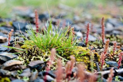 Up close at Sugarloaf Reservoir
 Hero