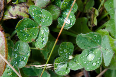 Up close at Sugarloaf Reservoir
 Hero
