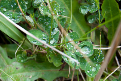 Up close at Sugarloaf Reservoir
 Hero