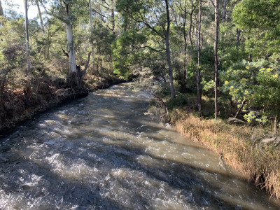 Warburton Trail
 Hero