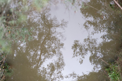 Warrandyte
 Hero