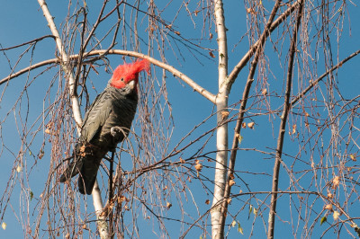 Weekend Photos
 Hero