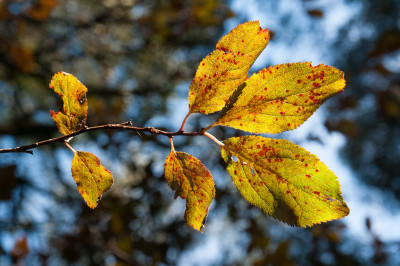 Weekend Photos
 Hero