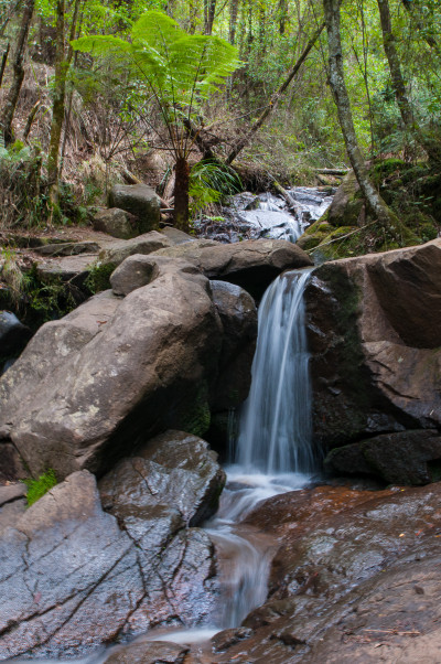 Weekend Photos
 Hero