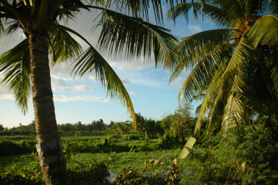 January and February 2007
 Hero