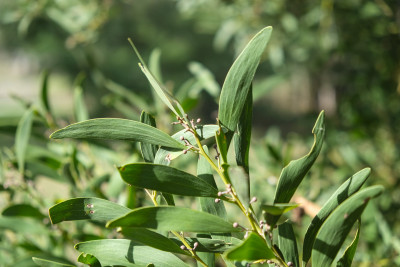 Fujifilm X-T2 Test Photos
 Hero