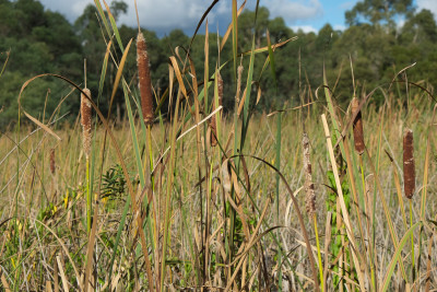 Fujifilm X-T2 Test Photos
 Hero