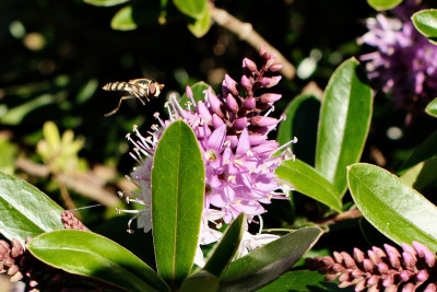 Fujifilm X100VI Test Photos
 Hero