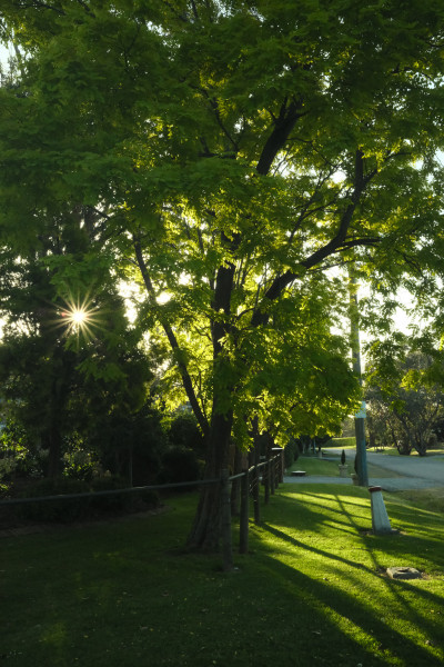 Fujifilm X100VI Test Photos
 Hero