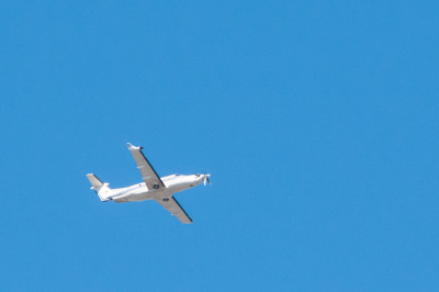 In the backyard with the 55-300
 Hero