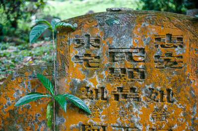 Bukit Brown Cemetery
 Hero