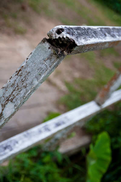 Bukit Brown Cemetery
 Hero