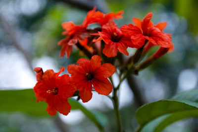 East Coast Park, Singapore
 Hero