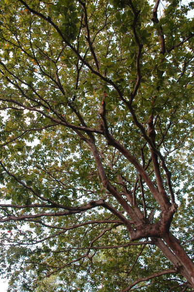 Katong Park Katong Park