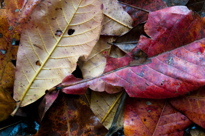 Labrador Park, Singapore
 Hero