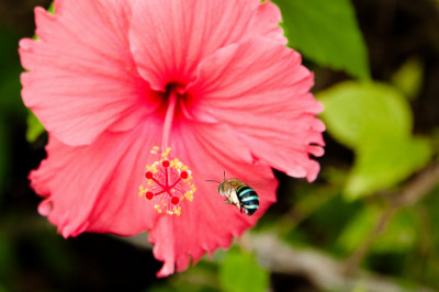 Labrador Park, Singapore
 Hero