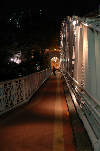 Tamron 17-50 f/2.8 VC
 Hero