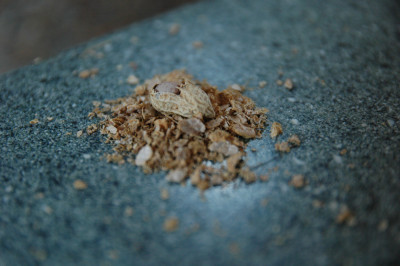 Tamron 17-50 f/2.8 VC
 Hero