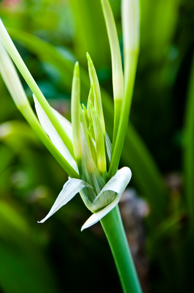 West Coast Park, Singapore
 Hero