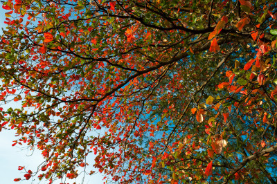 West Coast Park, Singapore
 Hero